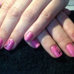 Pink Shellac