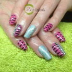 Shellac Master Merseyside