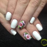 Shellac Salon